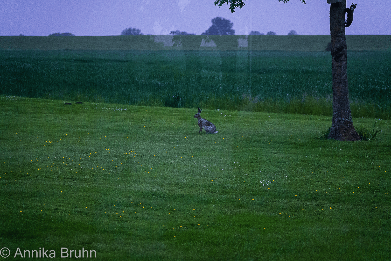 Genau dich beobachtet Q!